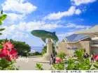 Okinawa Churaumi Aquarium Admission Ticket | Japan
