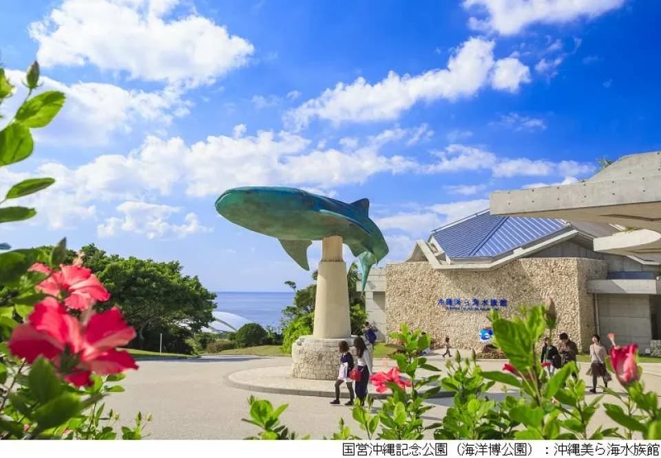 Okinawa Churaumi Aquarium Admission Ticket | Japan