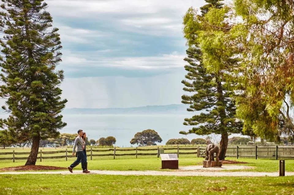 Phillip Island Nature Parks Individual and Combo Tickets: 3 Parks Pass | Melbourne
