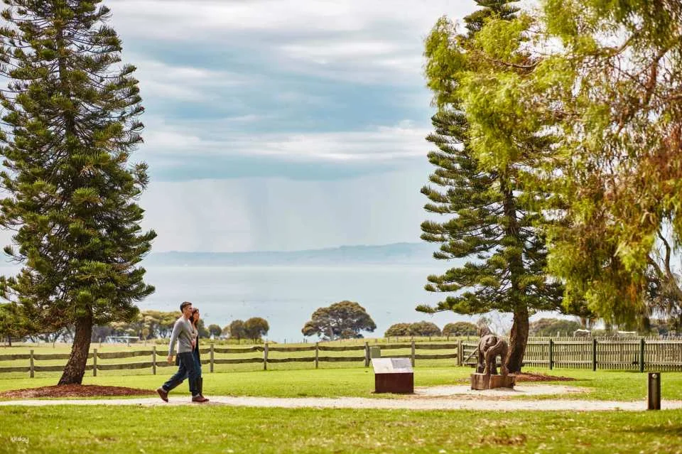 Phillip Island Nature Parks Individual and Combo Tickets: 3 Parks Pass | Melbourne