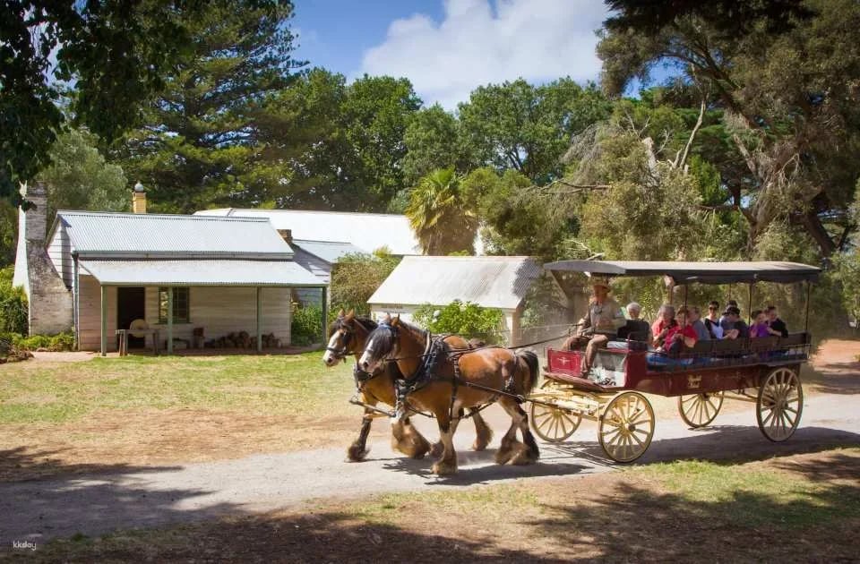 Phillip Island Nature Parks Individual and Combo Tickets: 3 Parks Pass | Melbourne