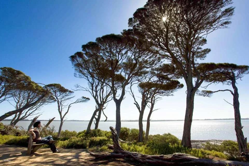Phillip Island Nature Parks Individual and Combo Tickets: 3 Parks Pass | Melbourne