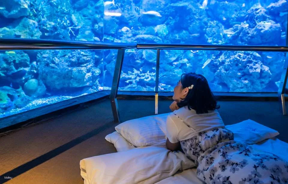 Overnight Experience at Pingtung National Museum of Marine Biology and Aquarium|Standard and Seasonal Package Itinerary