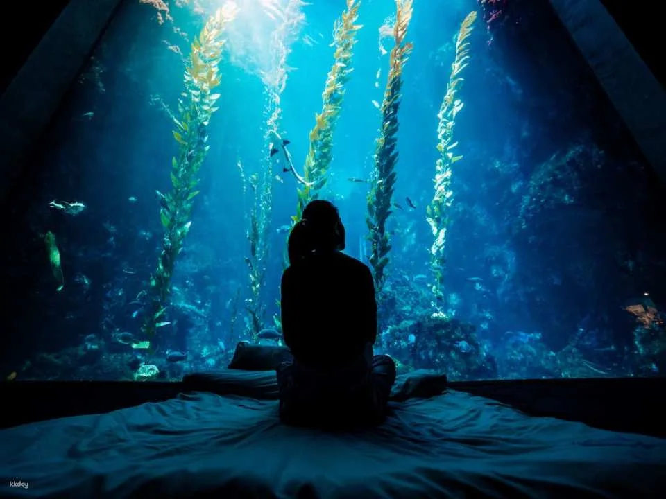 Overnight Experience at Pingtung National Museum of Marine Biology and Aquarium|Standard and Seasonal Package Itinerary