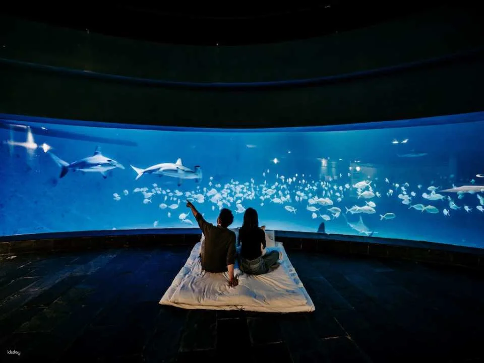 Overnight Experience at Pingtung National Museum of Marine Biology and Aquarium|Standard and Seasonal Package Itinerary
