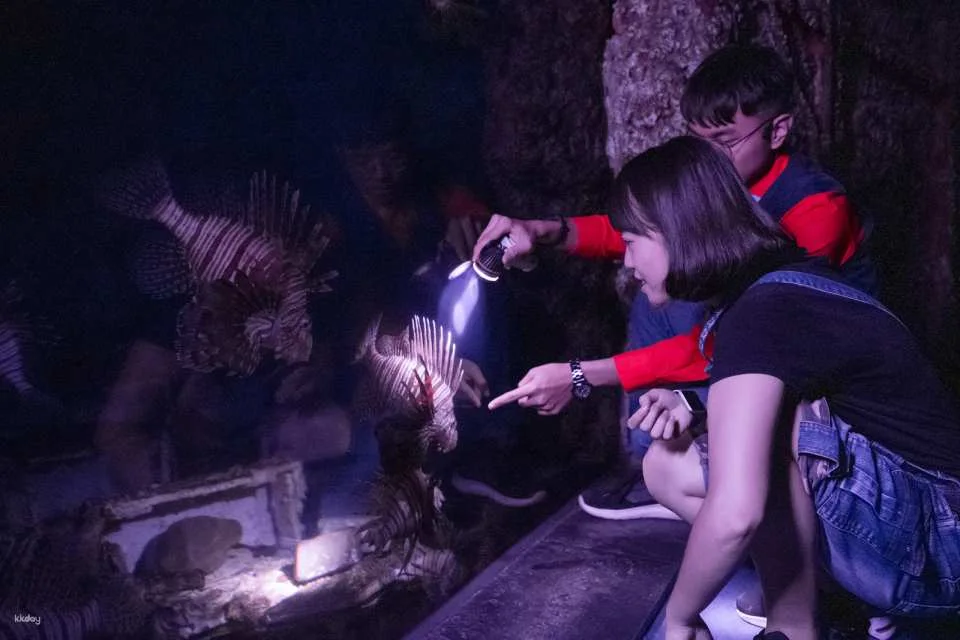 Overnight Experience at Pingtung National Museum of Marine Biology and Aquarium｜Standard and Seasonal Package Itinerary