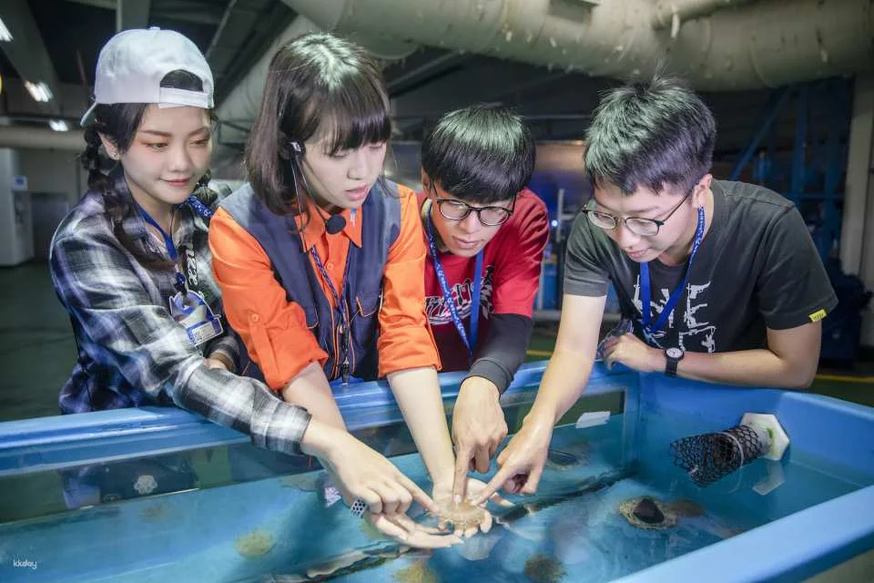 Overnight Experience at Pingtung National Museum of Marine Biology and Aquarium｜Standard and Seasonal Package Itinerary