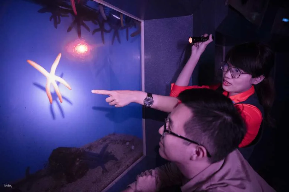 Overnight Experience at Pingtung National Museum of Marine Biology and Aquarium｜Standard and Seasonal Package Itinerary