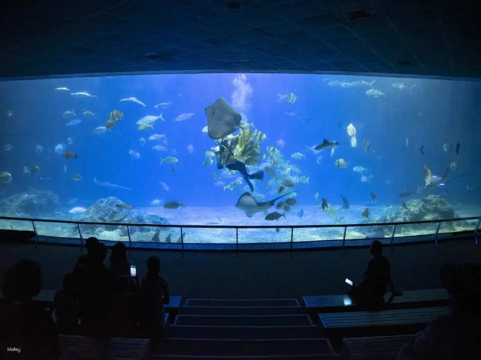 Overnight Experience at Pingtung National Museum of Marine Biology and Aquarium｜Standard and Seasonal Package Itinerary