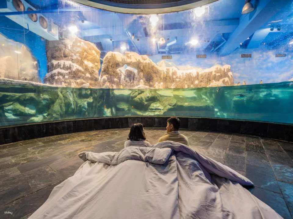 Overnight Experience at Pingtung National Museum of Marine Biology and Aquarium｜Standard and Seasonal Package Itinerary
