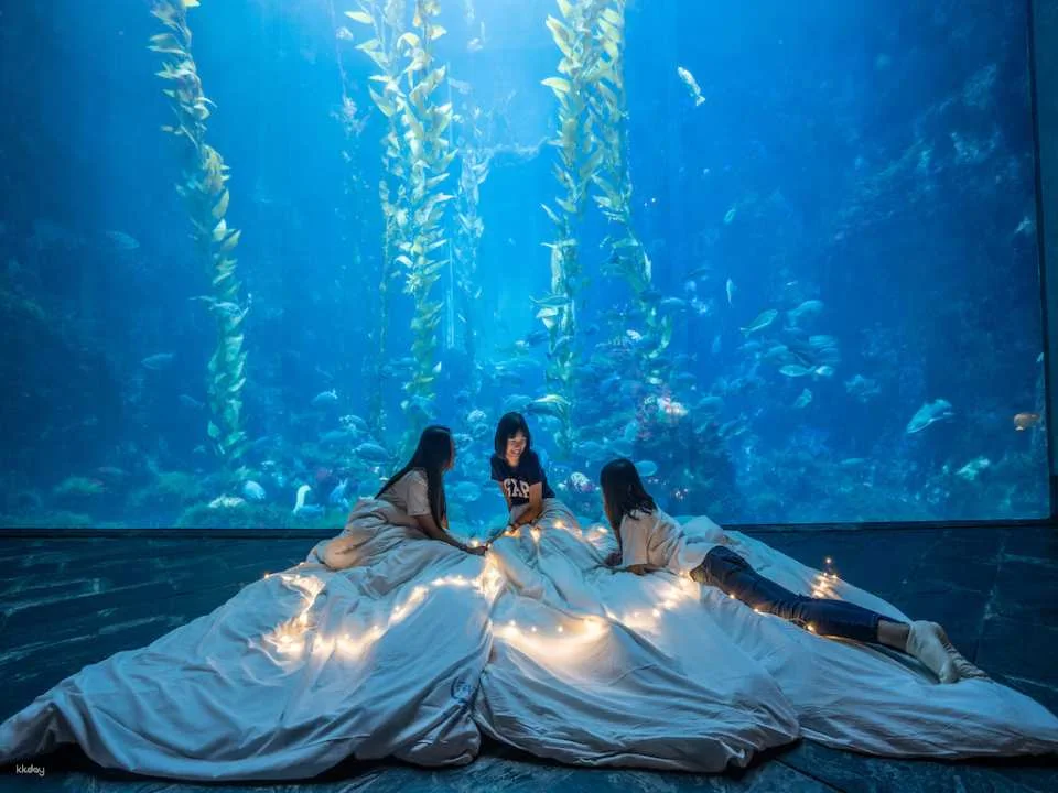 Overnight Experience at Pingtung National Museum of Marine Biology and Aquarium｜Standard and Seasonal Package Itinerary