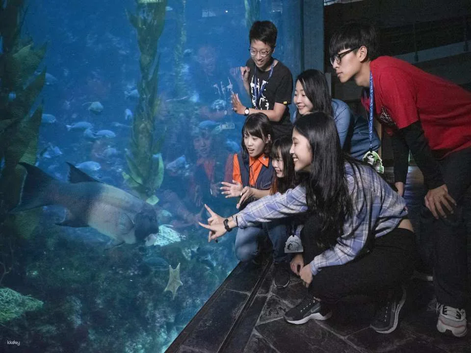 Overnight Experience at Pingtung National Museum of Marine Biology and Aquarium｜Standard and Seasonal Package Itinerary