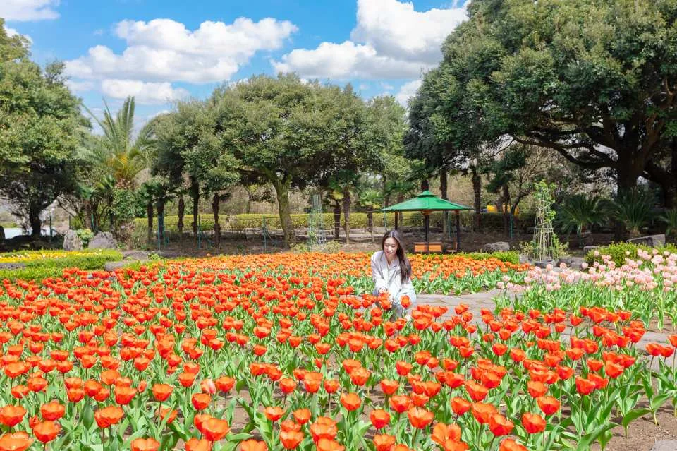 Korea Jeju Maze Land Ticket