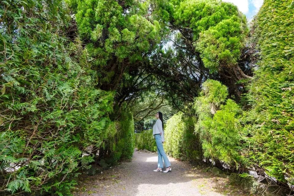 Korea Jeju Maze Land Ticket