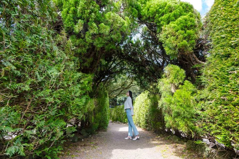 Korea Jeju Maze Land Ticket