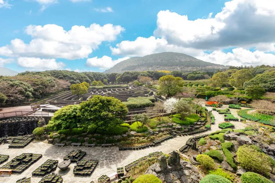 Korea Jeju Maze Land Ticket