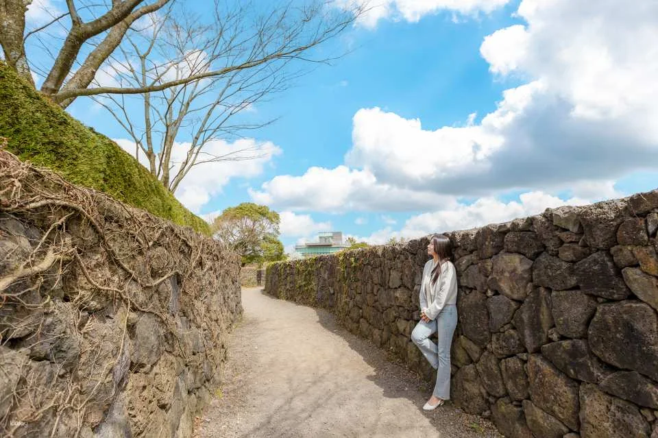 Korea Jeju Maze Land Ticket