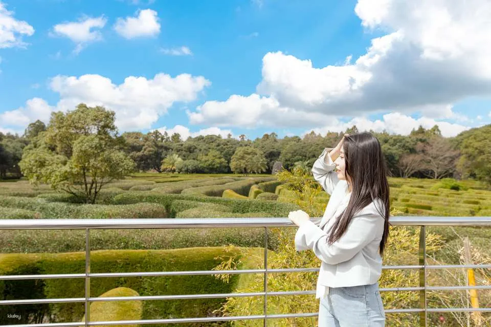 Korea Jeju Maze Land Ticket