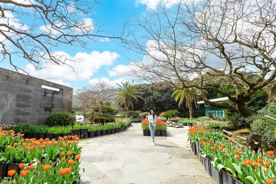 Korea Jeju Maze Land Ticket