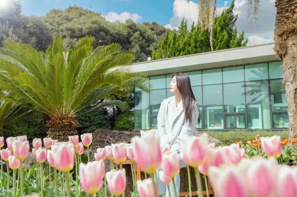 Korea Jeju Maze Land Ticket