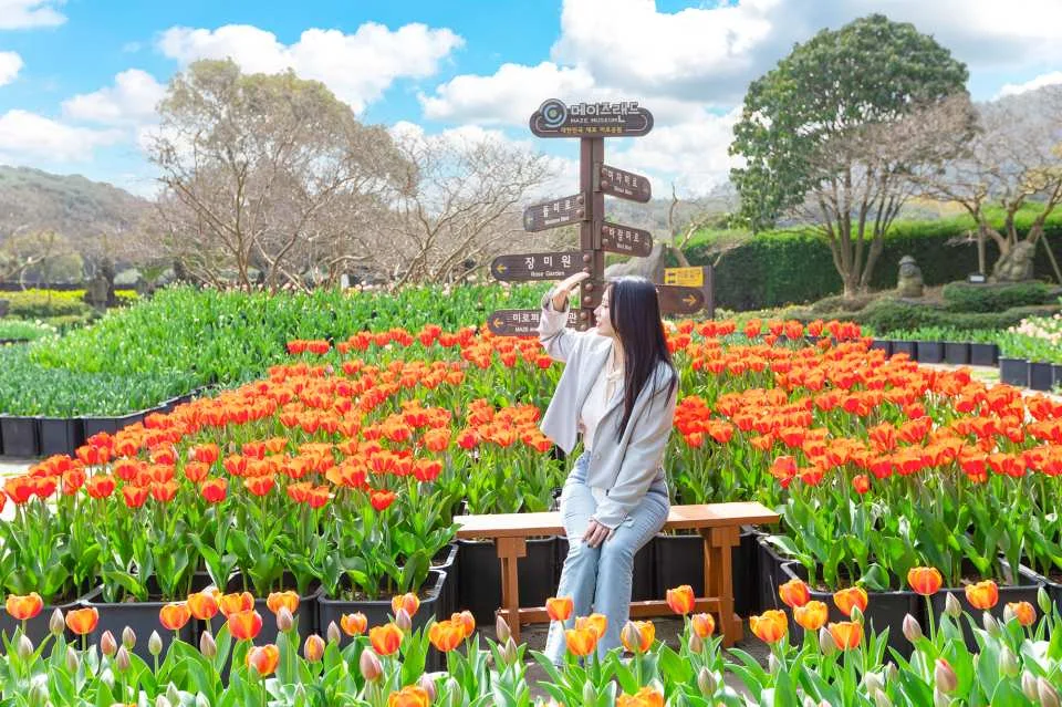 Korea Jeju Maze Land Ticket