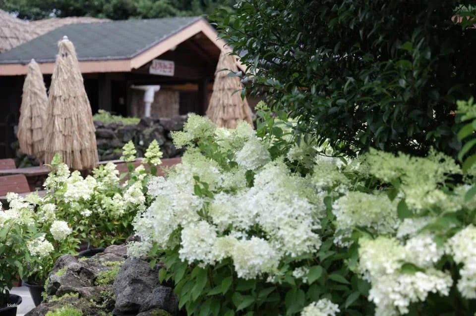 Jeju Huairi Nature Life Park Admission Ticket
