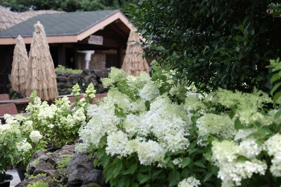 Jeju Huairi Nature Life Park Admission Ticket