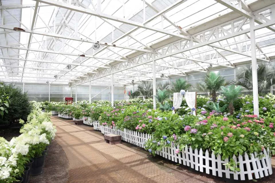 Jeju Huairi Nature Life Park Admission Ticket