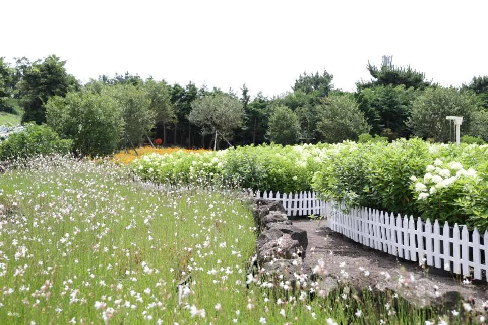 Jeju Huairi Nature Life Park Admission Ticket