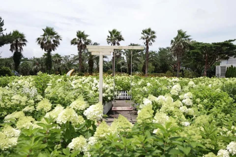 Jeju Huairi Nature Life Park Admission Ticket