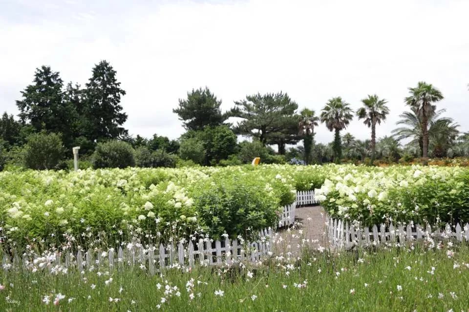 Jeju Huairi Nature Life Park Admission Ticket