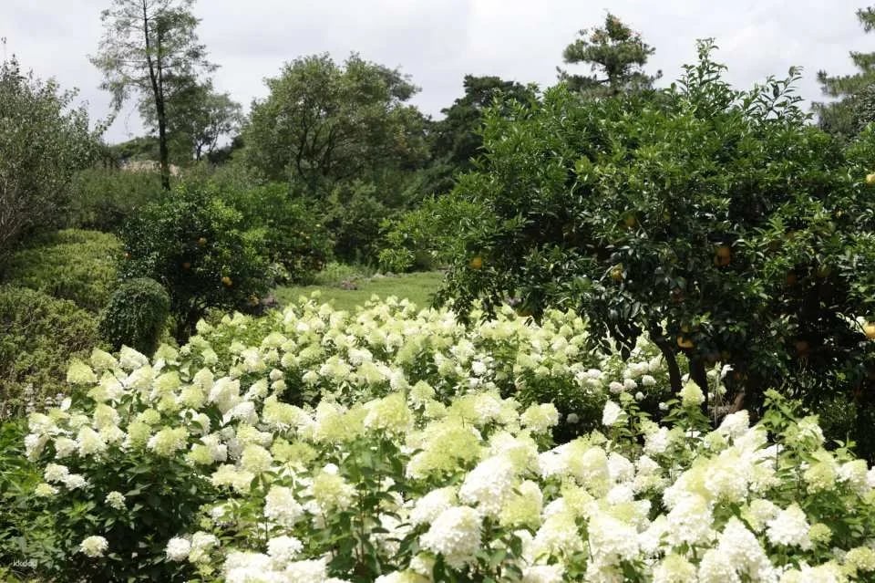 Jeju Huairi Nature Life Park Admission Ticket
