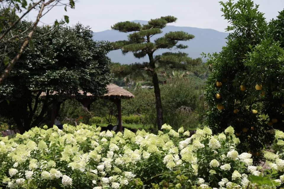 Jeju Huairi Nature Life Park Admission Ticket
