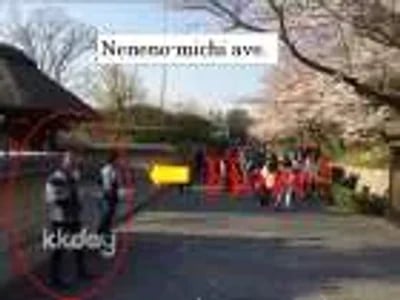 Kyoto Higashiyama Rickshaw Tour: Hōkan-ji Temple & Yasaka Shrine | Japan