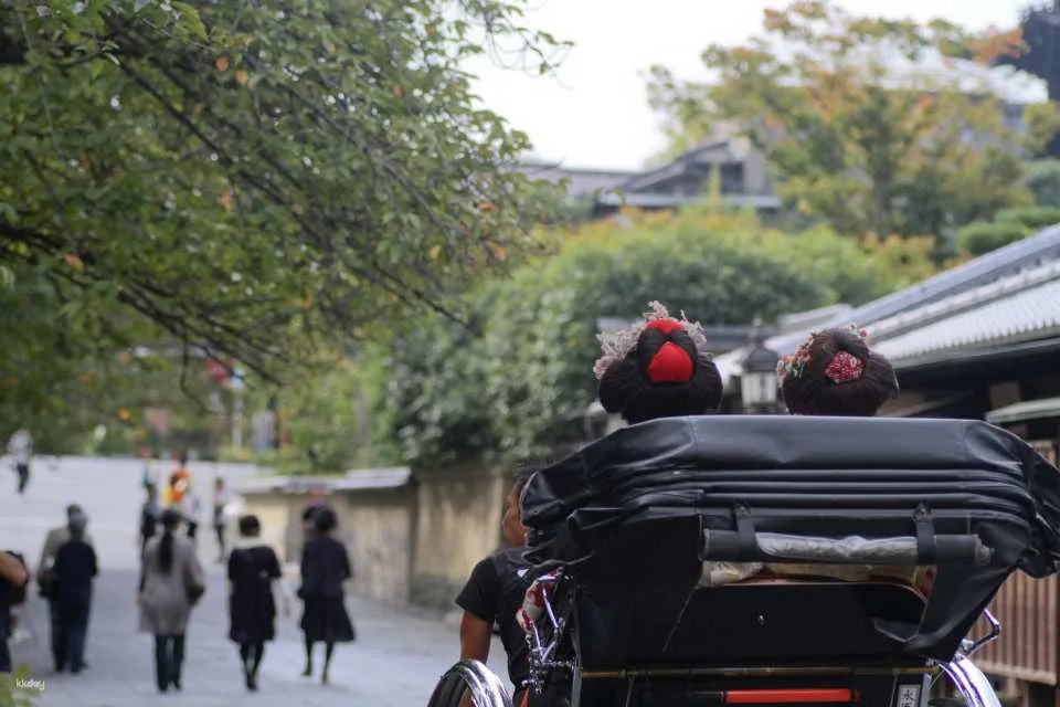 Kyoto Higashiyama Rickshaw Tour: Hōkan-ji Temple & Yasaka Shrine | Japan