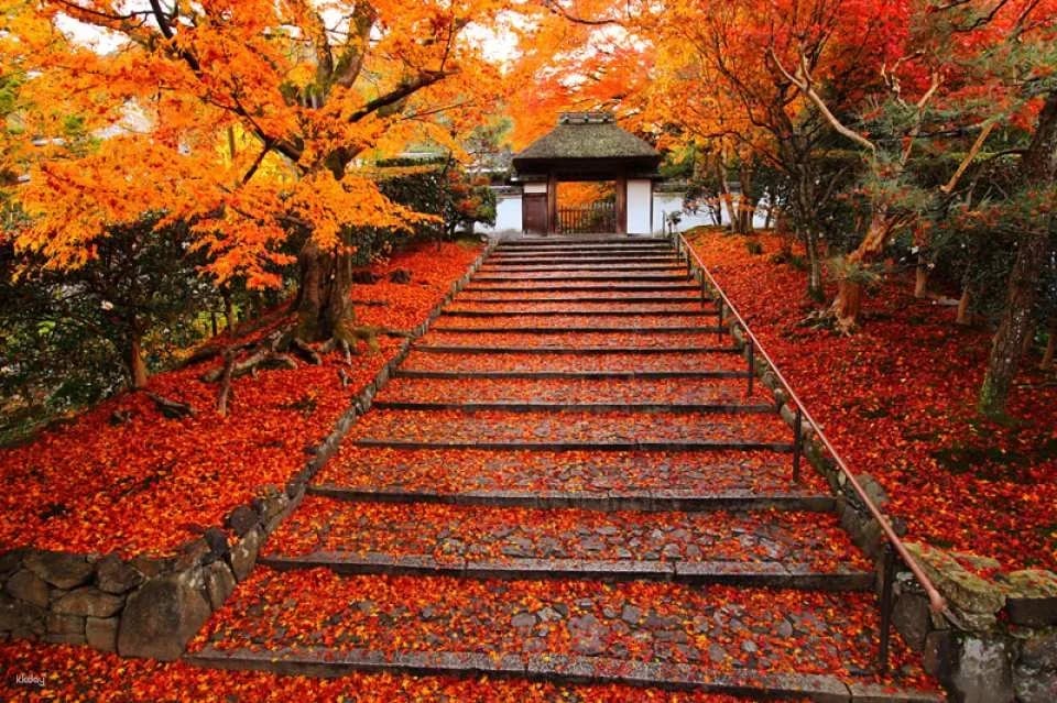 Kyoto Higashiyama Rickshaw Tour: Hōkan-ji Temple & Yasaka Shrine | Japan