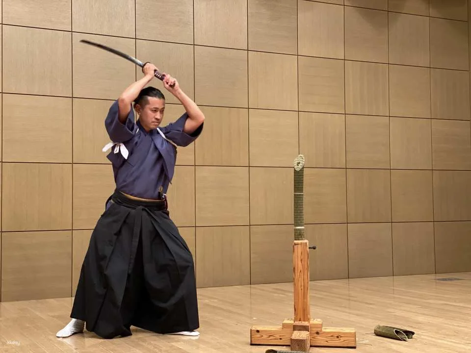 Samurai Experience by Shidenryu in Tokyo (195762)