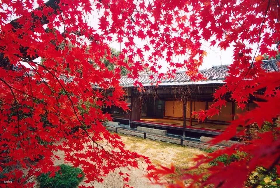 Kyoto, Japan|Visit "Myoshinji Pagoda Taizoin" and enjoy lunch at Hanagokoro (花ごころ) Japanese restaurant