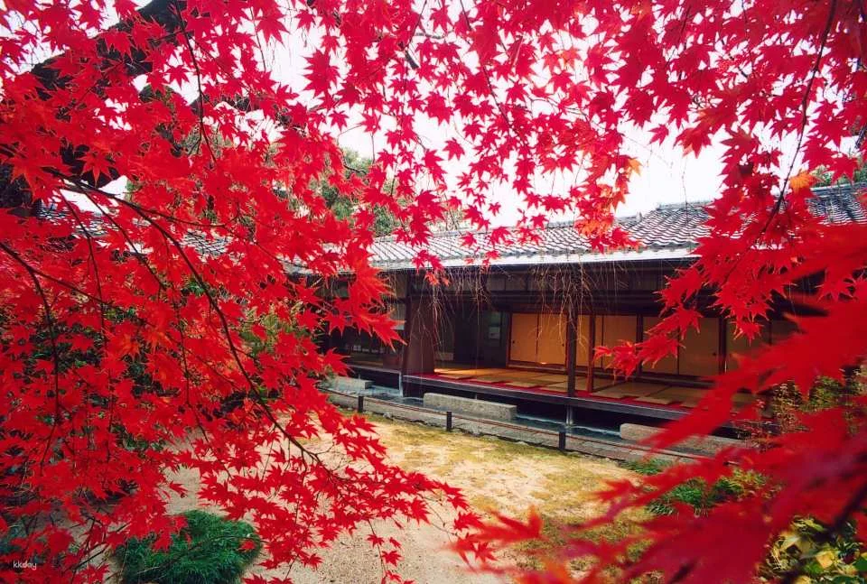 Kyoto, Japan｜Visit "Myoshinji Pagoda Taizoin" and enjoy lunch at Hanagokoro (花ごころ) Japanese restaurant