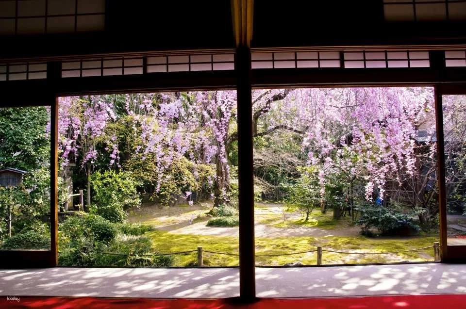 Kyoto, Japan｜Visit "Myoshinji Pagoda Taizoin" and enjoy lunch at Hanagokoro (花ごころ) Japanese restaurant