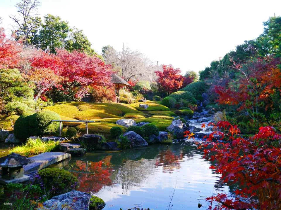 Kyoto, Japan｜Visit "Myoshinji Pagoda Taizoin" and enjoy lunch at Hanagokoro (花ごころ) Japanese restaurant