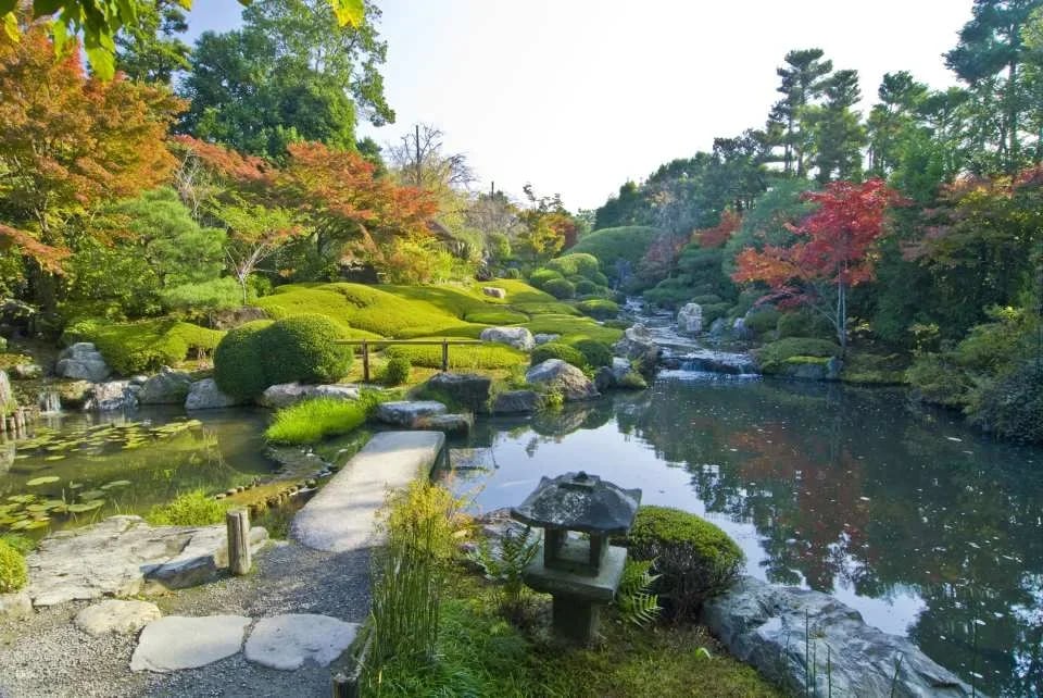Kyoto, Japan｜Visit "Myoshinji Pagoda Taizoin" and enjoy lunch at Hanagokoro (花ごころ) Japanese restaurant