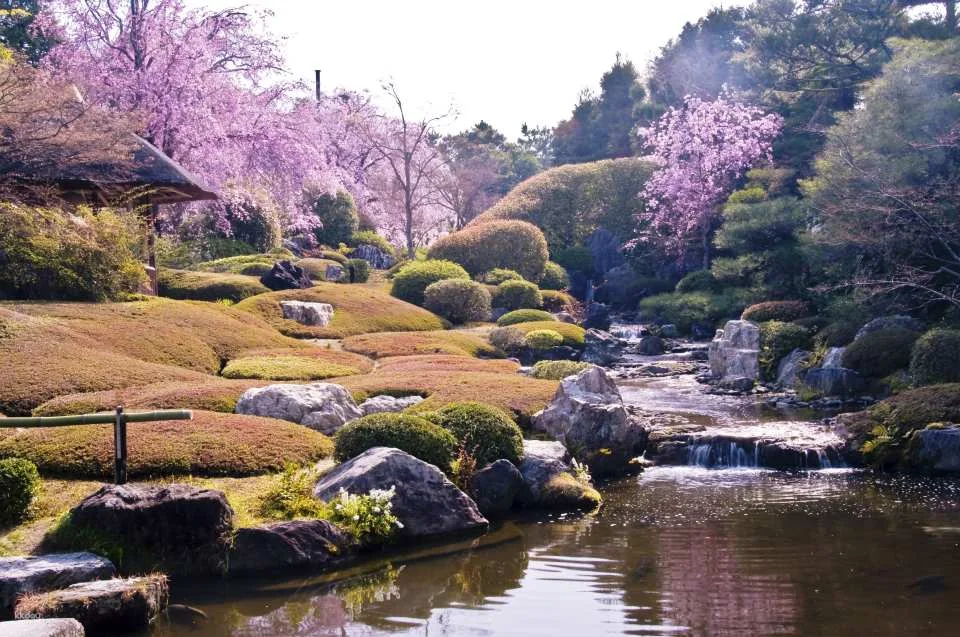Kyoto, Japan｜Visit "Myoshinji Pagoda Taizoin" and enjoy lunch at Hanagokoro (花ごころ) Japanese restaurant