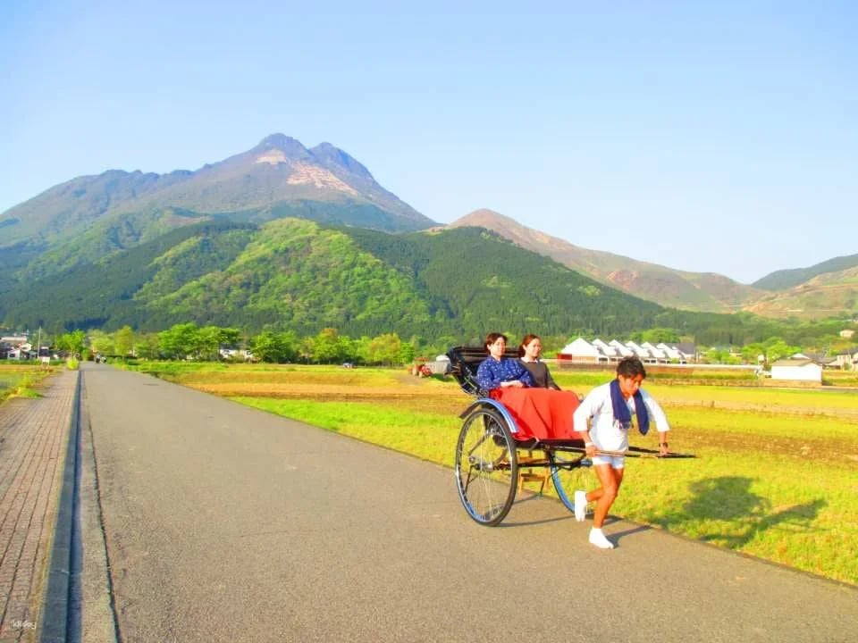 Japan Oita | Yufuin, Kinrin Lake & Bussanji Temple Rickshaw Experience