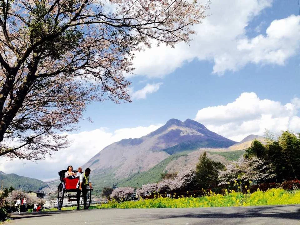 Japan Oita | Yufuin, Kinrin Lake & Bussanji Temple Rickshaw Experience