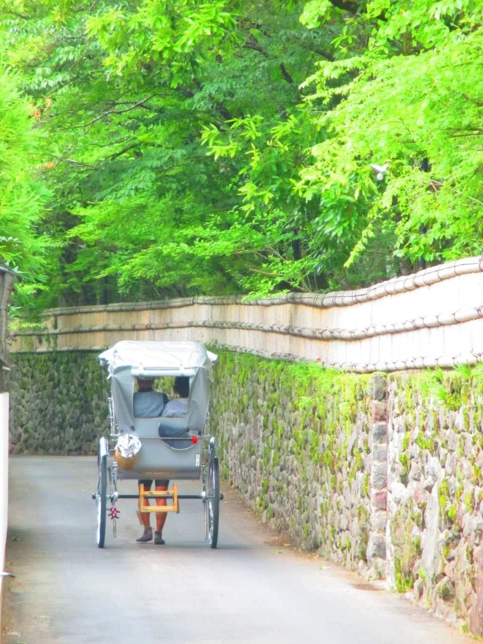 Japan Oita | Yufuin, Kinrin Lake & Bussanji Temple Rickshaw Experience