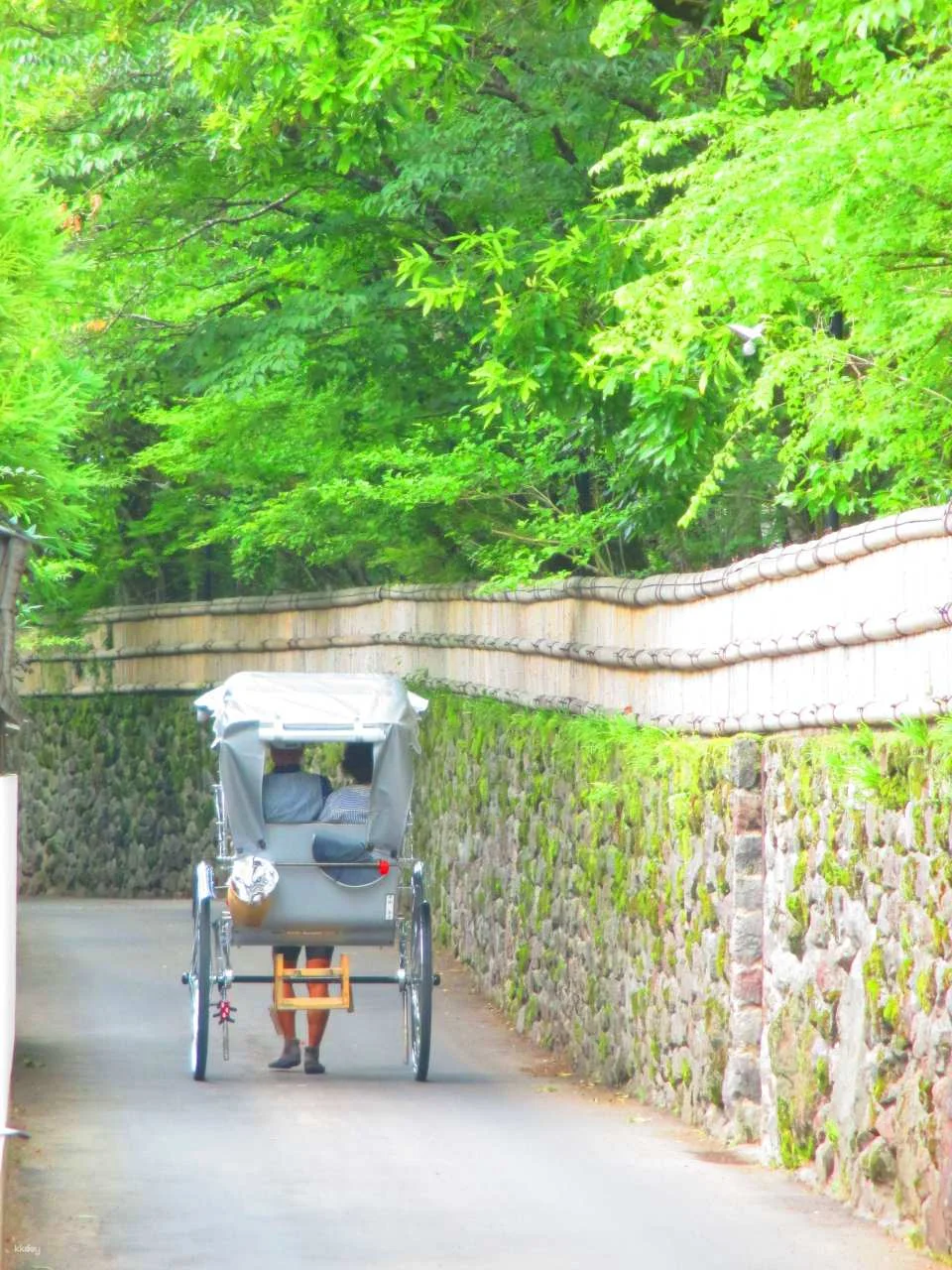 Japan Oita | Yufuin, Kinrin Lake & Bussanji Temple Rickshaw Experience