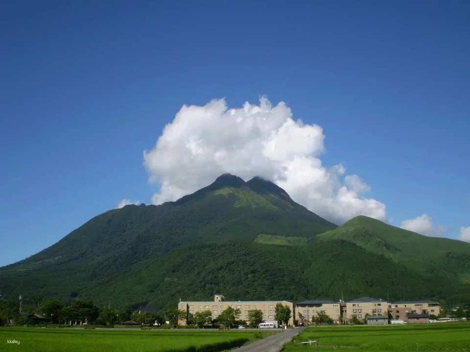 Japan Oita | Yufuin, Kinrin Lake & Bussanji Temple Rickshaw Experience