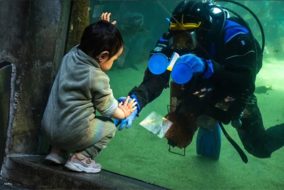 Seattle CityPASS® | United States