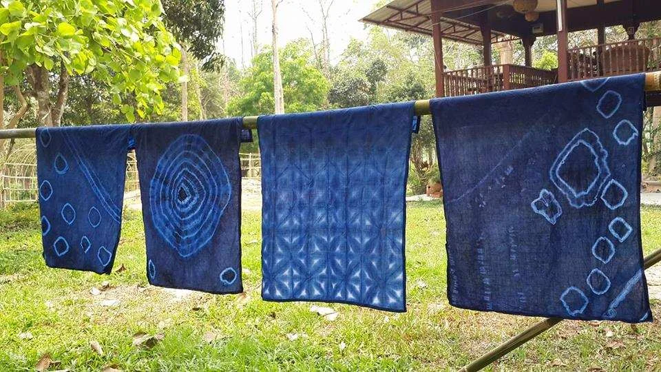 Cotton Farm Garden House Indigo-Dyeing Workshop in Chiang Mai | Thailand (21351)